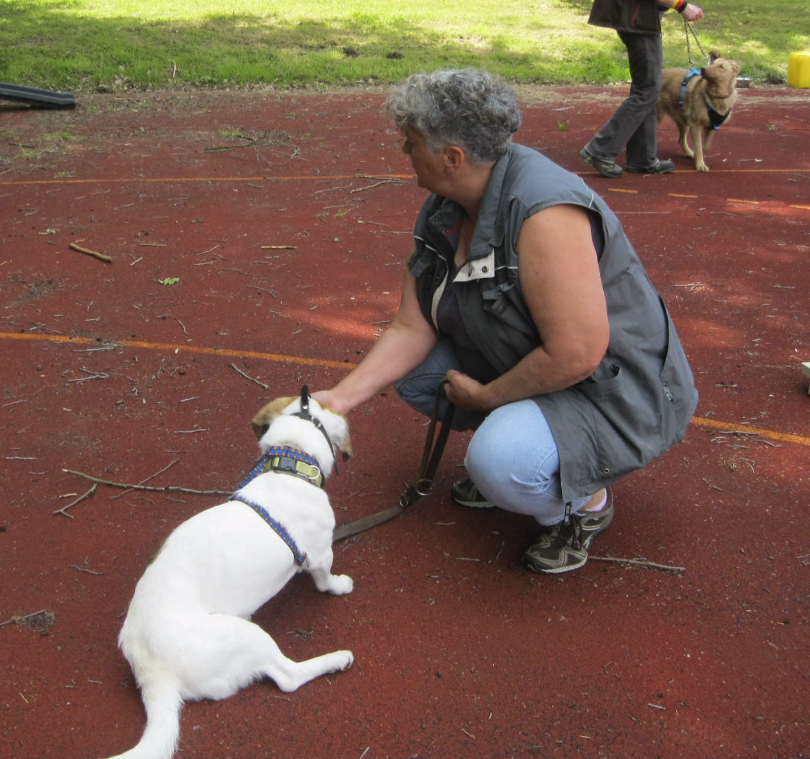 Hundeschule im Tierheim Alsfeld mit Trainerin Marianne Geisel