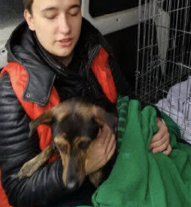 Kastrationsaktion mit einem betreuten Hund